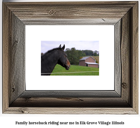 family horseback riding near me in Elk Grove Village, Illinois